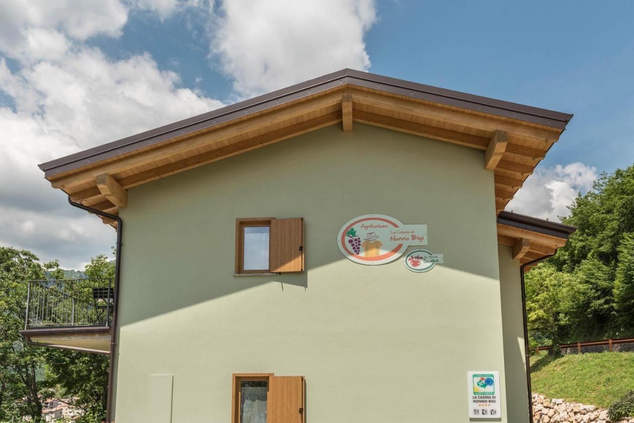 Nonno Bigi Rosa Apartment Tremosine Екстериор снимка